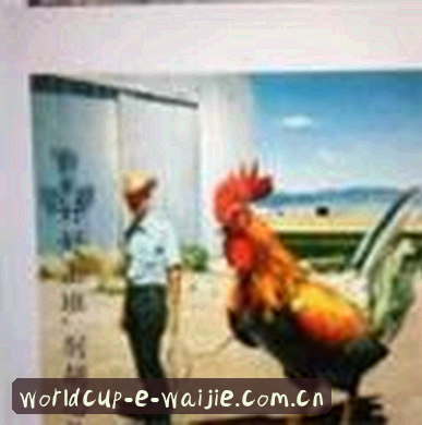 赵敏